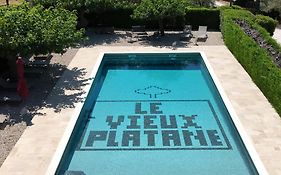 Le Vieux Platane